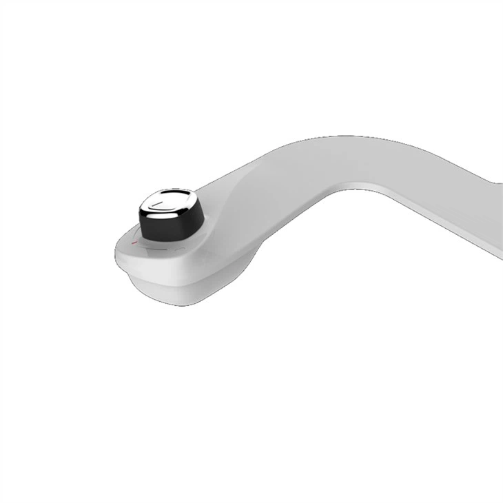 bidet for existing toilet
