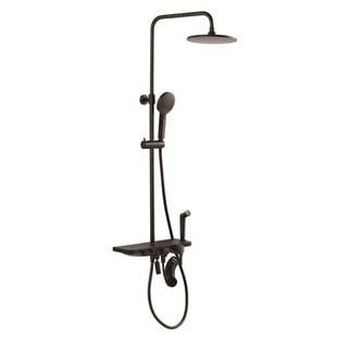 Black Rain Head Shower System