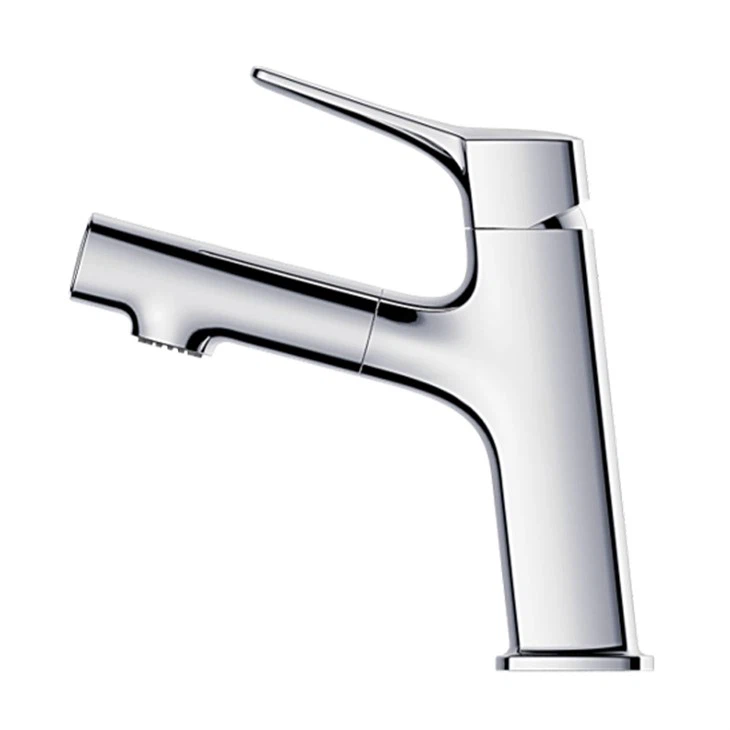 Basin Tap With Pull Out Spray