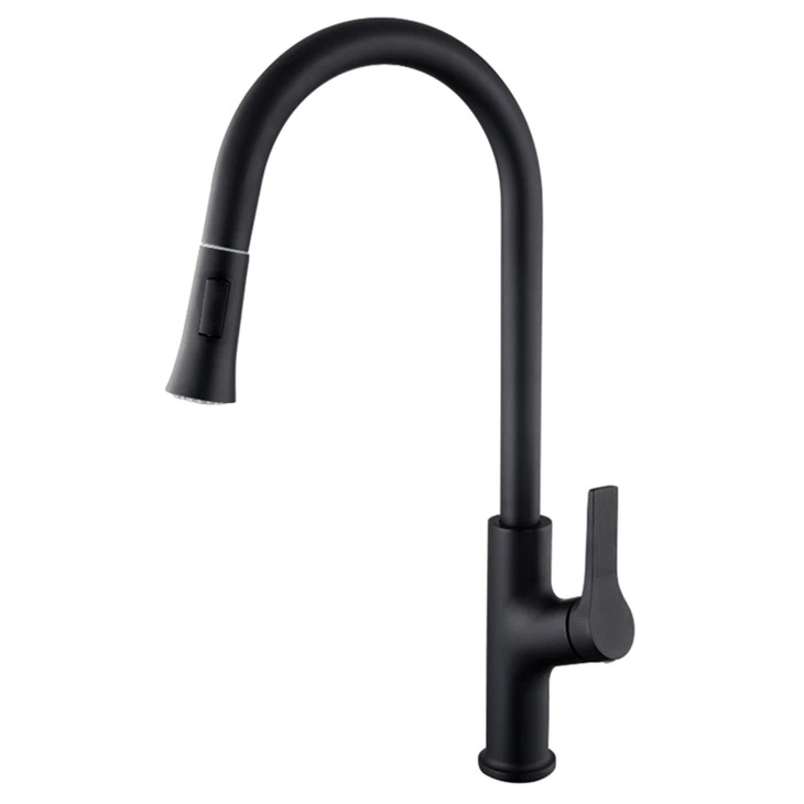 Kitchen Sink Tap With Pull Out Spray